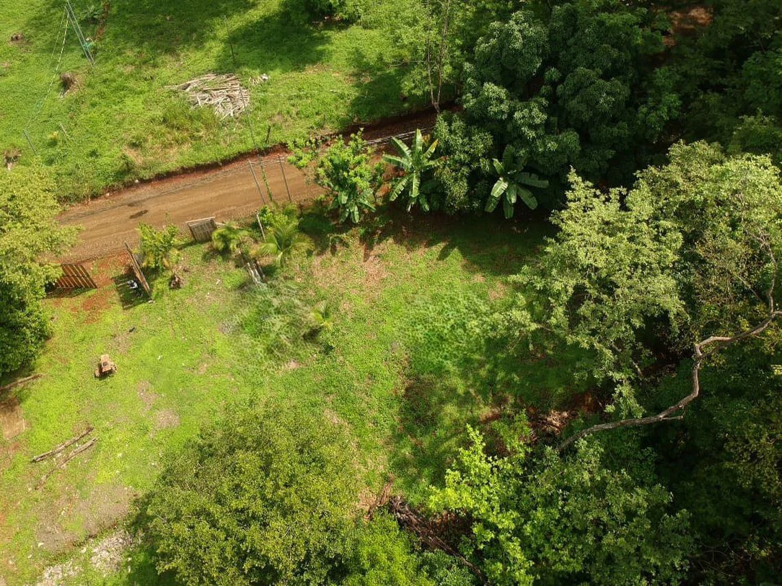 LOTE SERENIDAD: Beautiful 3,554 m² (0.89 Acre) Lot in Peaceful Estrada, Just 10 Minutes from Carillo Beach
