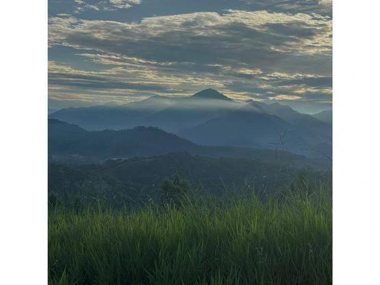 SPECTACULAR ECOLOGICAL MOUNTAIN FARM IN BIJAGUAL DE TURRUBARES - Gallery image 9