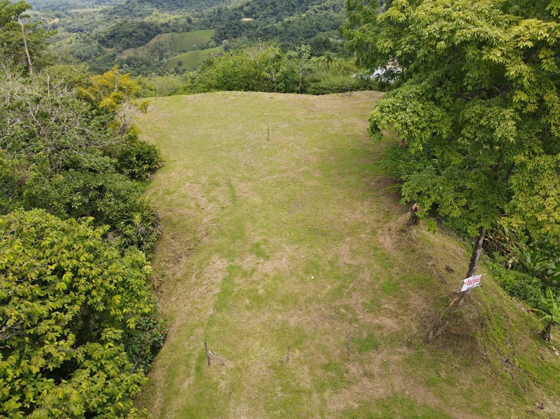 Panoramic 180 Degree Ocean View Lot Ready To Build Close To Ojochal - Gallery image 9