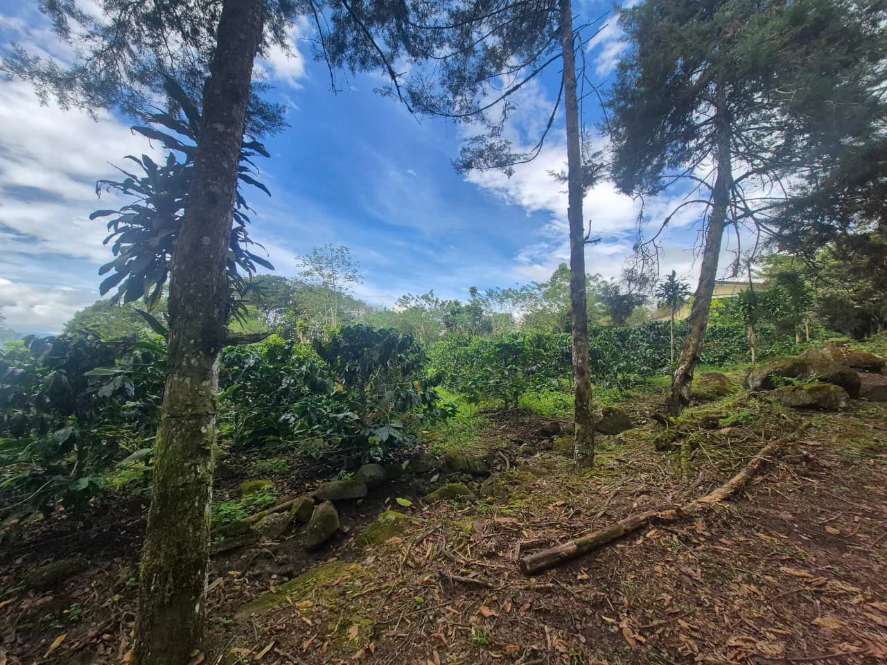 Countryside Home Construction Site For Sale in Santa Elena de San Isidro - Gallery image 12