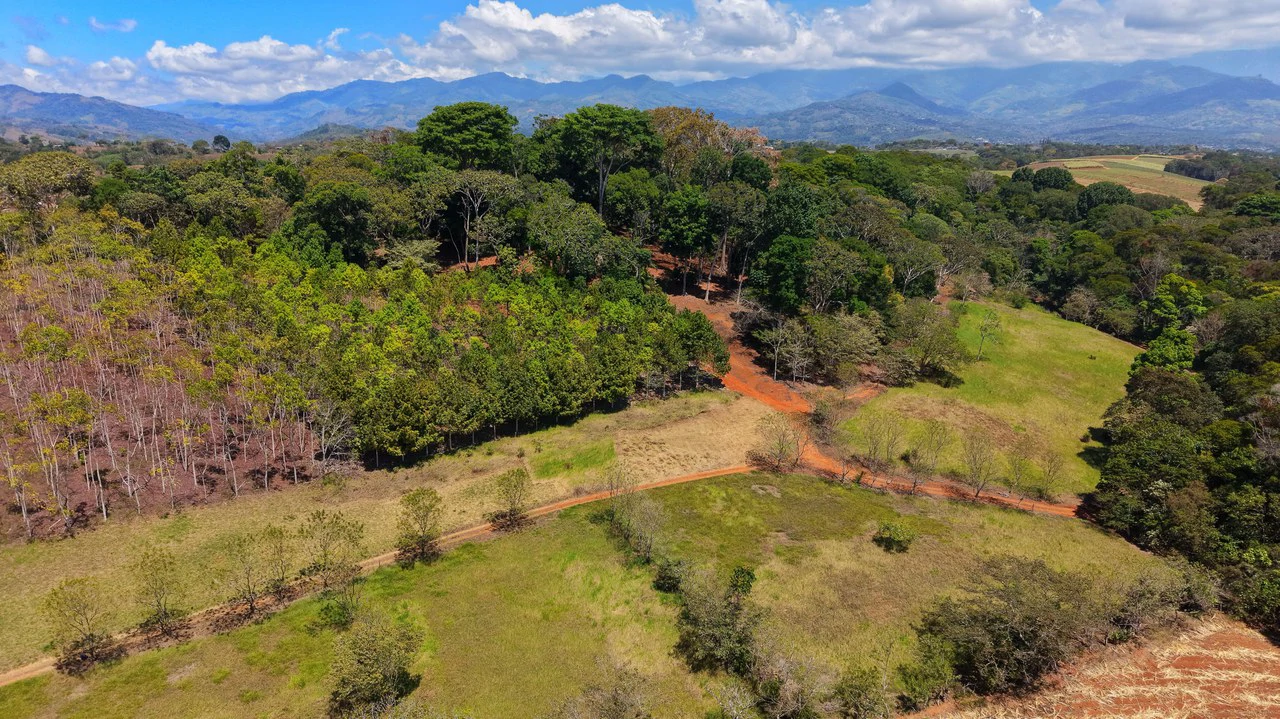 Agricultural Land For Sale in Daniel Flores - Gallery image 10