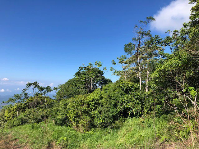 1.24 ACRES – Alto de San Juan, TOP OF THE WORLD VIEWS, Cool Breezes, Ready to Build Your Dream!!!!!: Mountain Development Parcel For Sale in Alto San Juan - Gallery image 17
