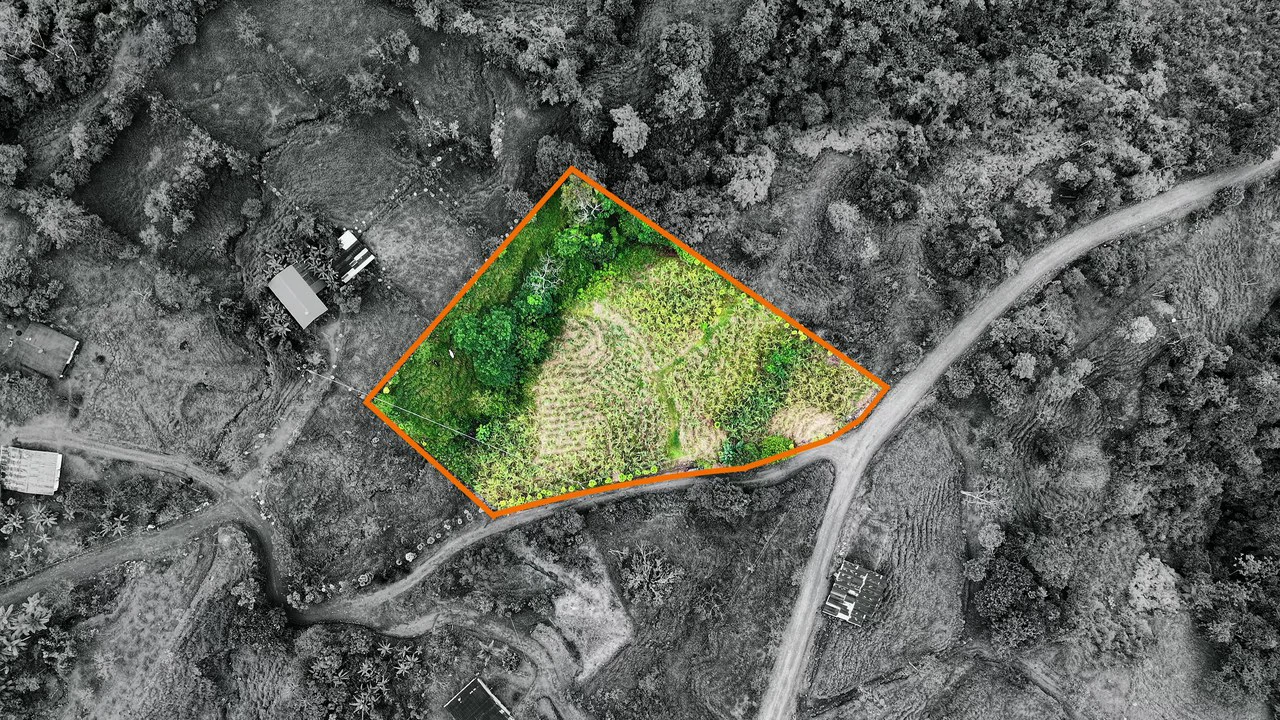 Mountain Agricultural Land For Sale in Centro de Pérez Zeledón