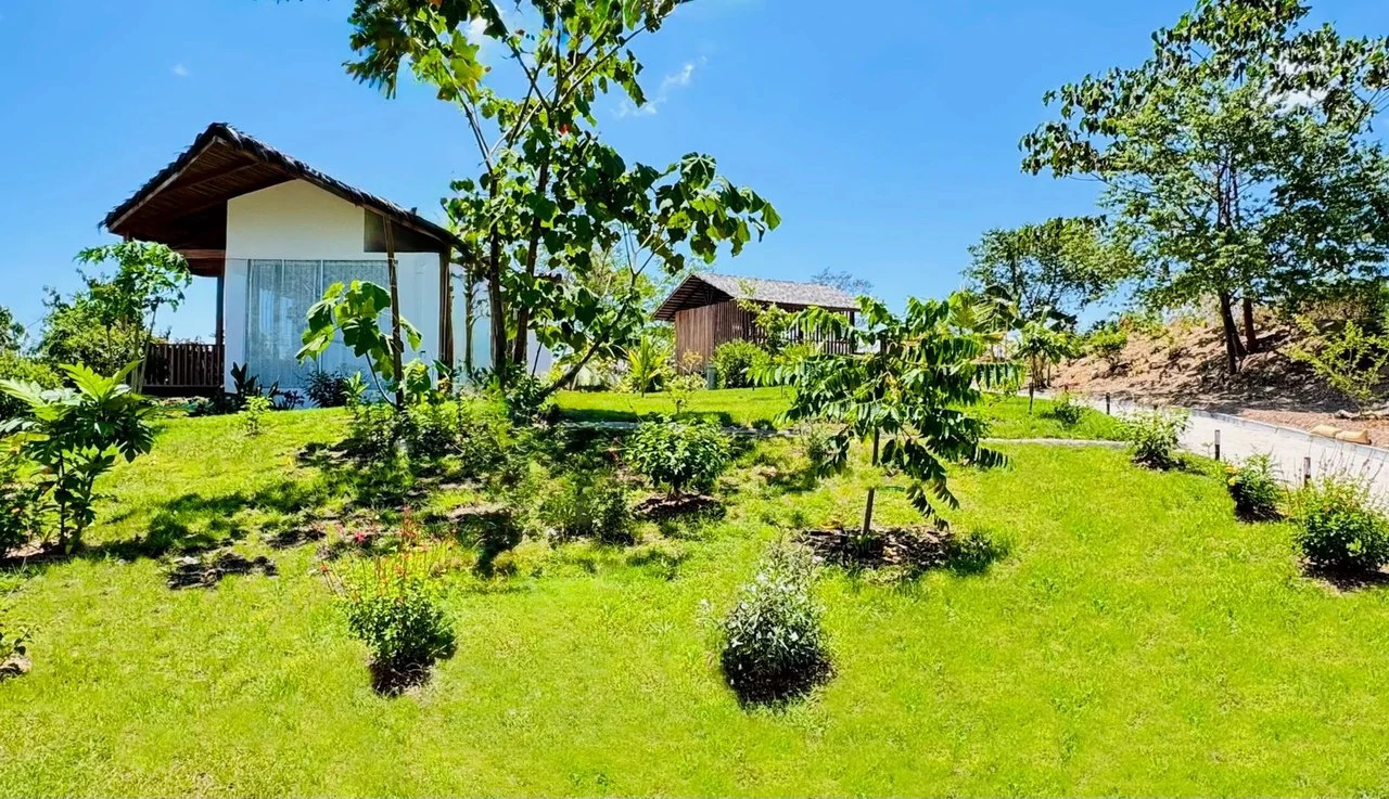 The Ark: $1,390,000 USD Luxury Jungle Estate with Guest House in The Ark Community, Santa Teresa Costa Rica - Gallery image 45