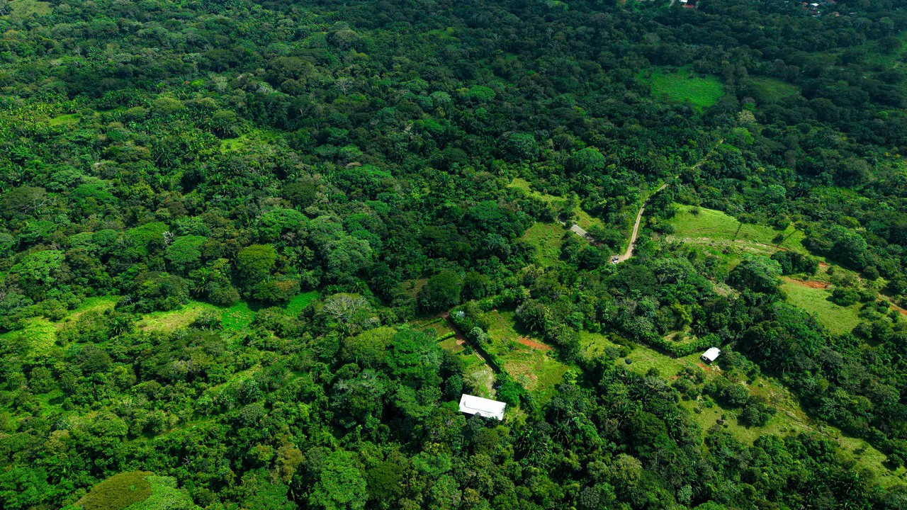 4,850 Acre Beachfront Legacy Ranch Esterillos Central Pacific Coast - Gallery image 29