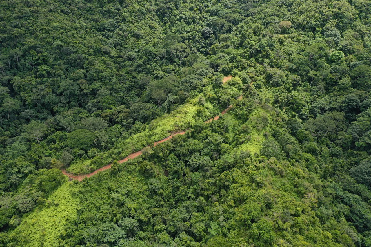 137 Acre Ocean View Farm with Riverfront in Southern Costa Rica - Gallery image 18