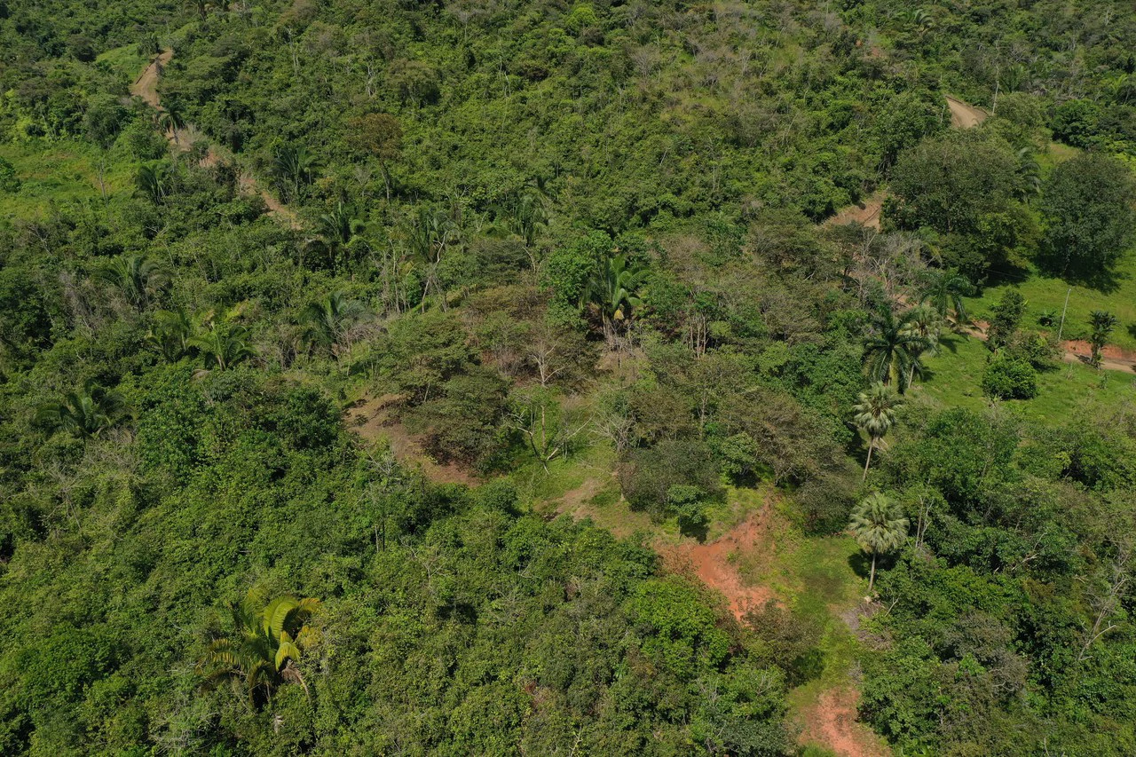 12 Acre Farm in Private Agricultural Community South of Ojochal - Gallery image 10