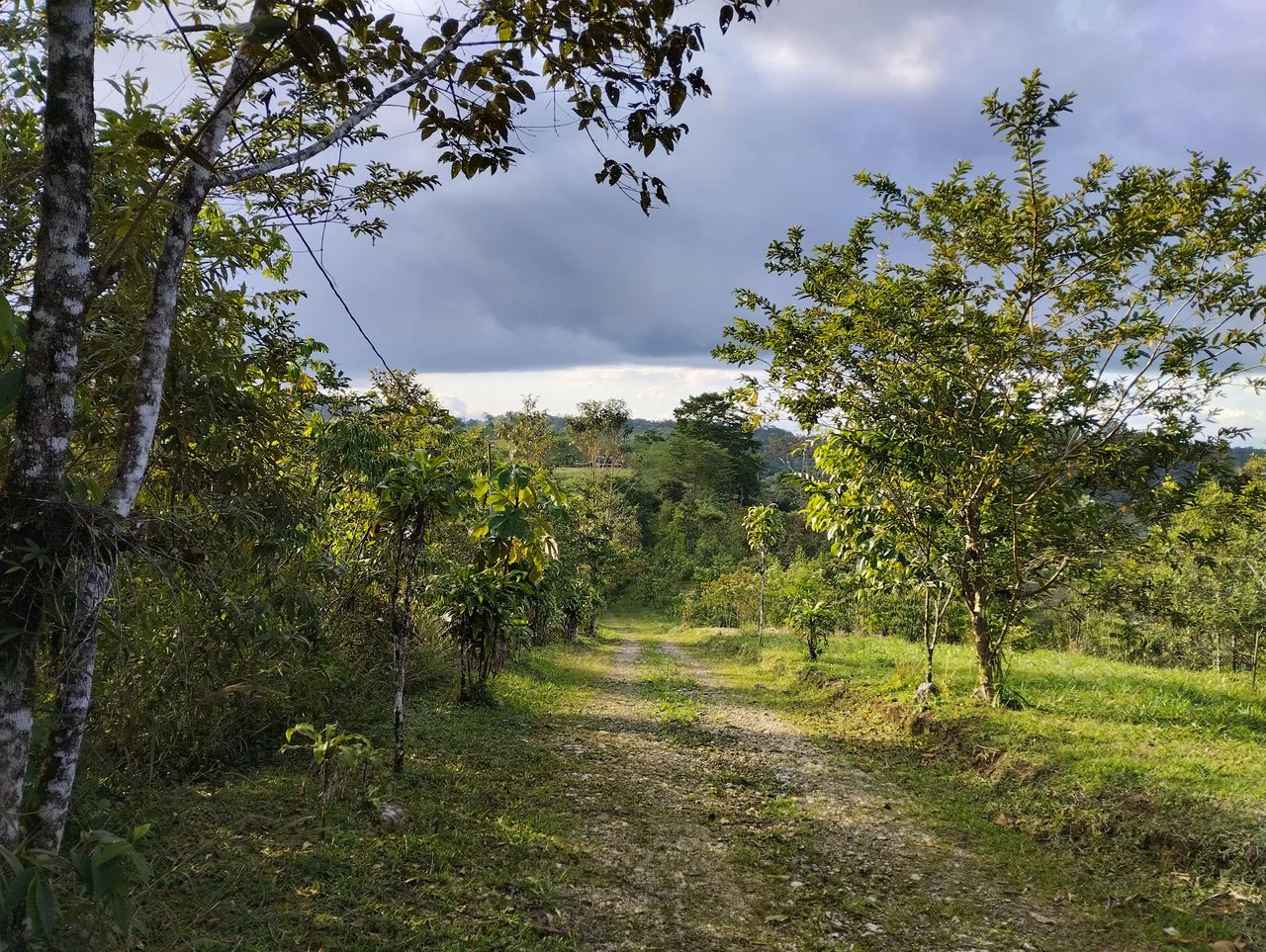 Charming Private Mountaintop home in the perfect climate of San Vito Coto Brus, San Isidro-Perez Zeledon, San Vito, San Jose, Costa Rica - Gallery image 4