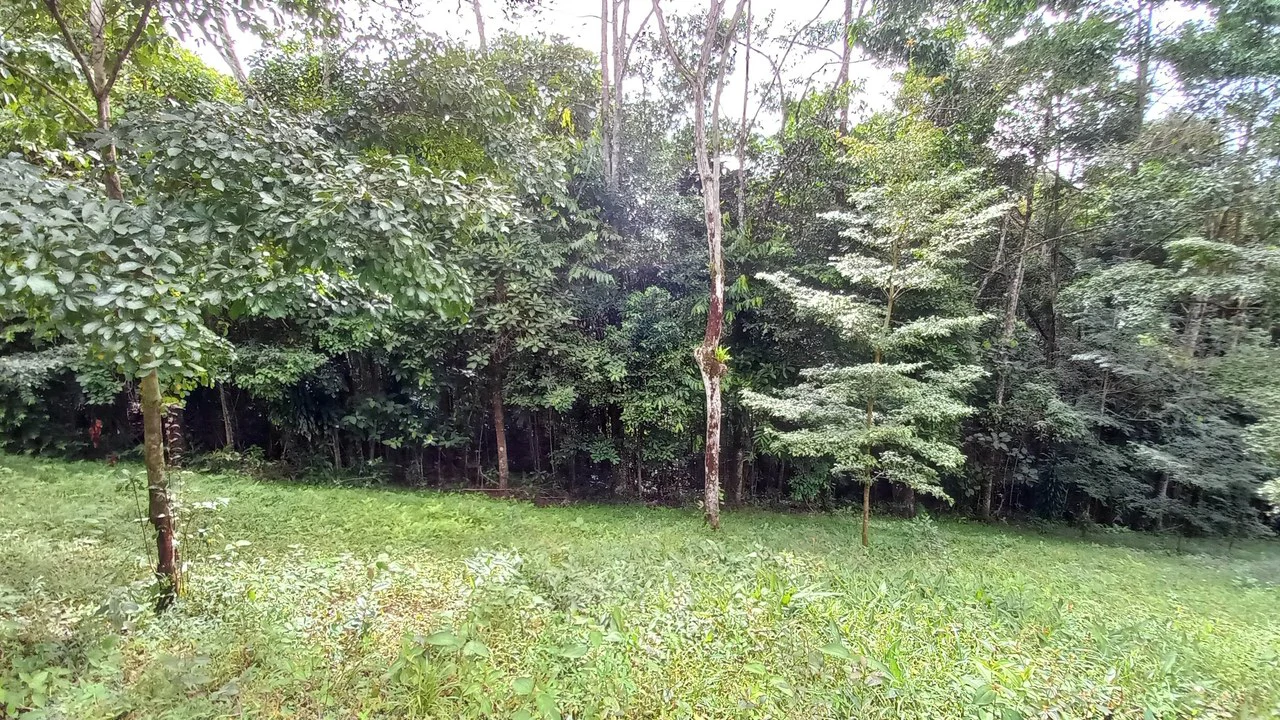 Home with Additional Building Areas and Creek on 3.5 Acres - Gallery image 53