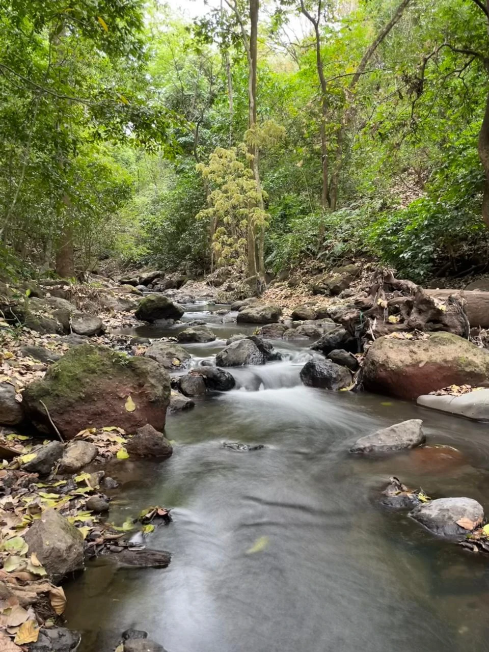 Lote for Sale in Gated Community Guácima Alajuela Costa Rica - Gallery image 4