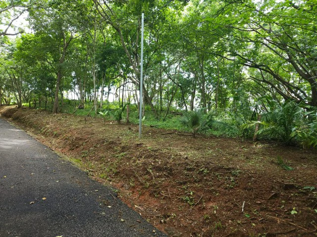 Nosara's Brand New Top Villas as a Business Opportunity in the dense forest of catchment area, 7 villas for sale in Costa Rica's Healthy Blue Zone - Gallery image 4