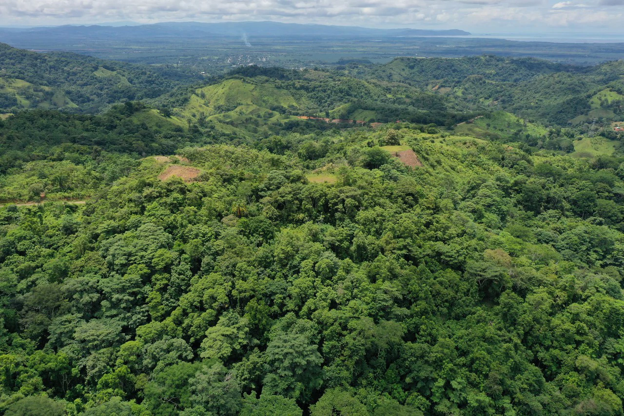 137 Acre Ocean View Farm with Riverfront in Southern Costa Rica - Gallery image 5