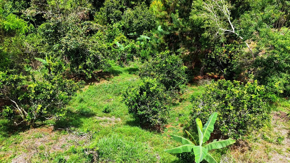 Home Construction Site For Sale in San Rafael Norte - Gallery image 5