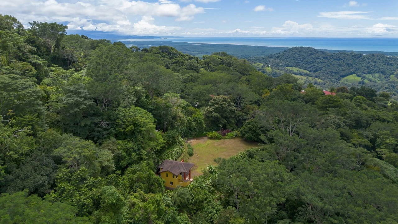 Build-Ready Ocean View Land with Guest House & Fruit Orchard | Tres Rios, Costa Rica - Gallery image 2