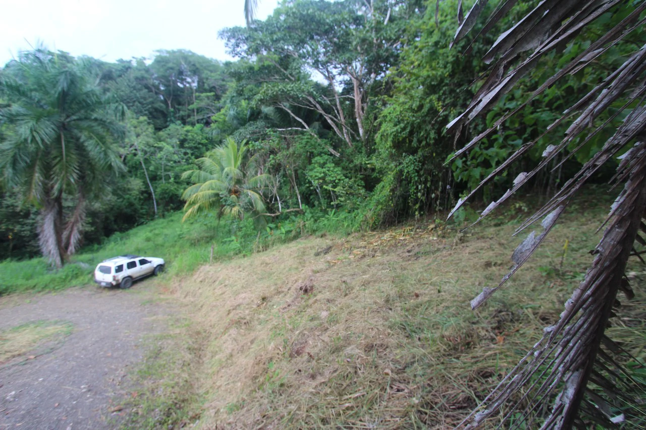 Whitewater Sunset Ocean View Lot Close to Dominical Beach - Gallery image 8