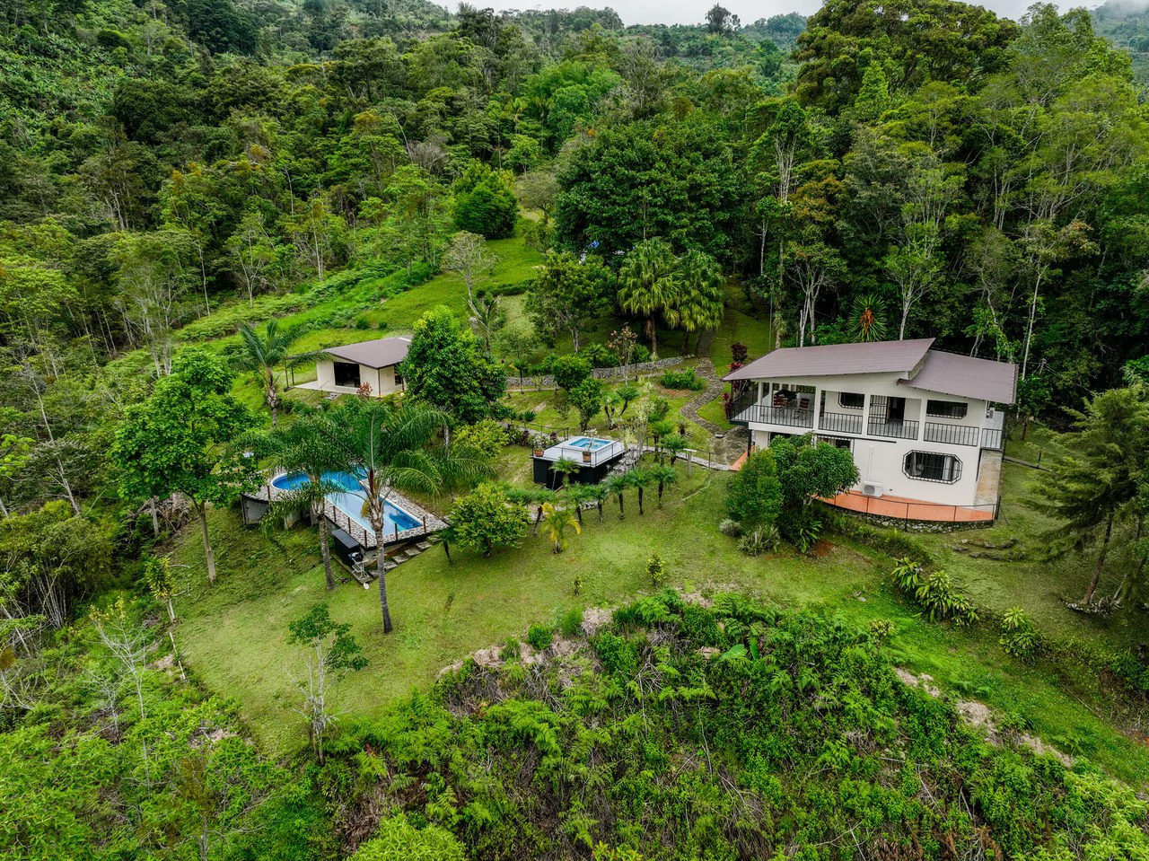 Expansive 27 Acre Farm with Residence in San Isidro del General - Gallery image 4