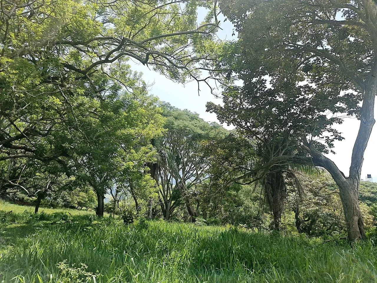 Near the Coast and Mountain Home Construction Site For Sale in Orotina y Caldera - Gallery image 15