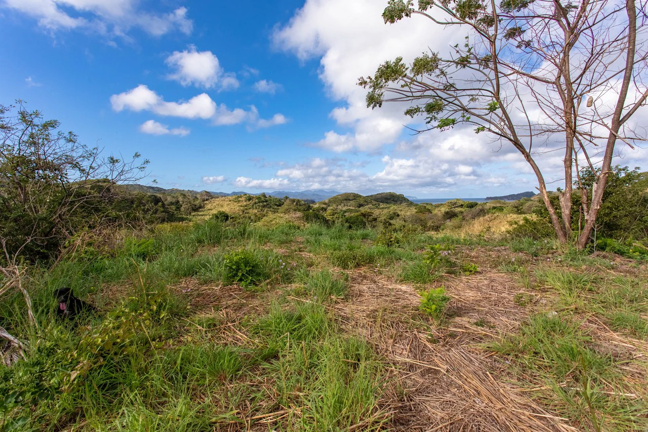 220 Acres Beachside Farm with Ocean View at Playa Junquillal in Guanacaste - Gallery image 12