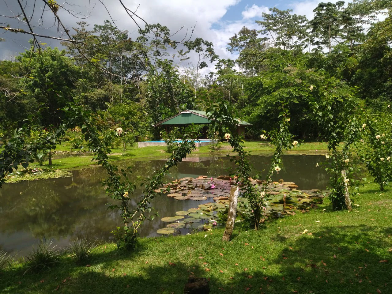 Pristine Business for Sale in Santo Domingos Forest, 3 cabins surrounded by wild nature, Tilapia lake with a dock, and a Restaurant - Gallery image 3