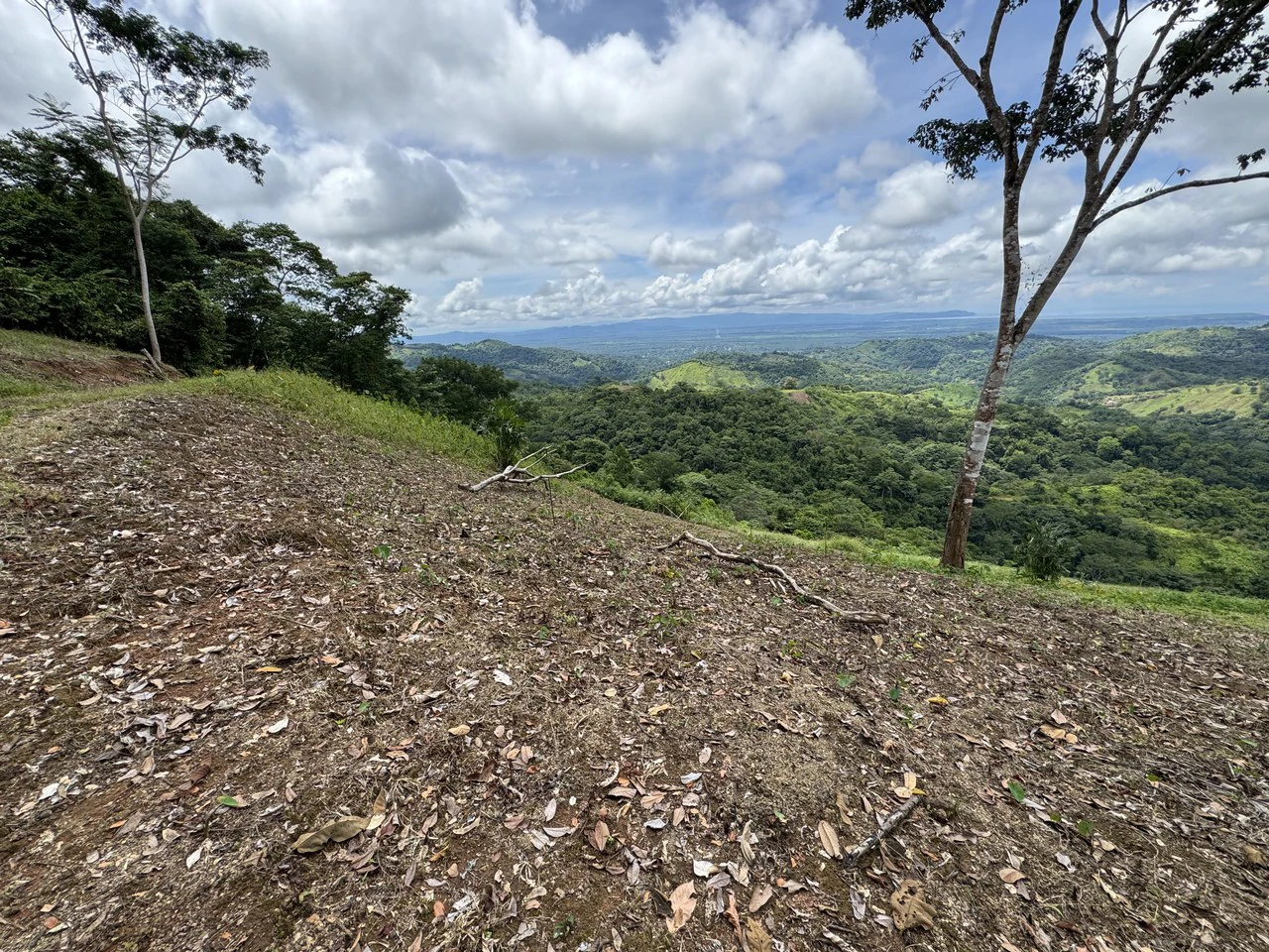 137 Acre Ocean View Farm with Riverfront in Southern Costa Rica - Gallery image 11