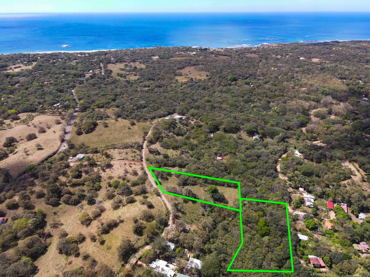 Four Acres of Paradise