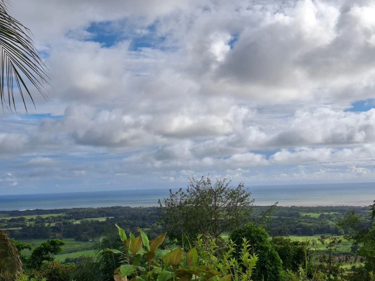 Hilltop Ocean Paradise: 10 ha with Ocean Views! - Gallery image 12
