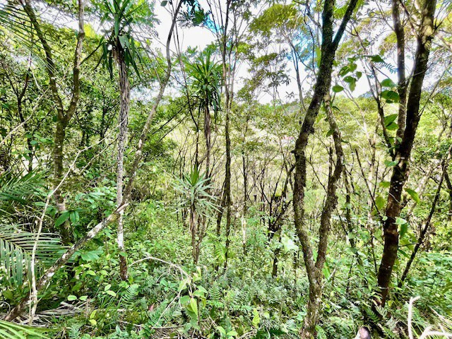 LG-002 Terreno Top Nuevo Arenal: Premium 1.45-Acre Gated Homesite in Nuevo Arenal | Panoramic Lake & Volcano Views, Private Boat Dock & Clubhouse - Gallery image 14