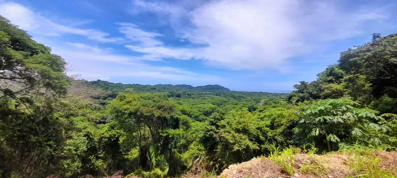 Buena Vista Ocean View Lot: Countryside and Mountain Home Construction Site For Sale in Buena Vista - Gallery image 8