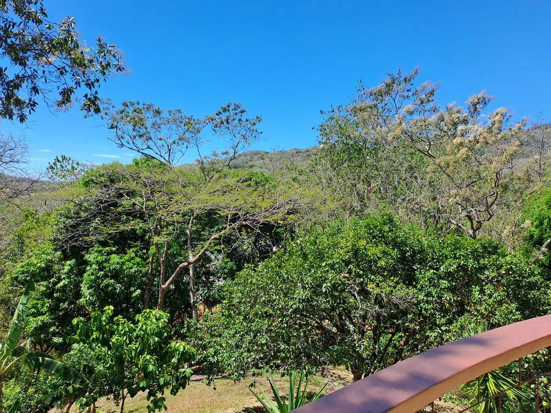 Finca El Colibri: Tropical Oasis of 7000 m2, nestled in nature, featuring 2 Homes & Caravan Studio, Near Carrillo & Samara Beaches - Gallery image 34