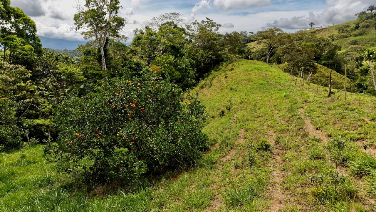 Countryside Home Construction Site For Sale in Centro de Pérez Zeledón - Gallery image 5