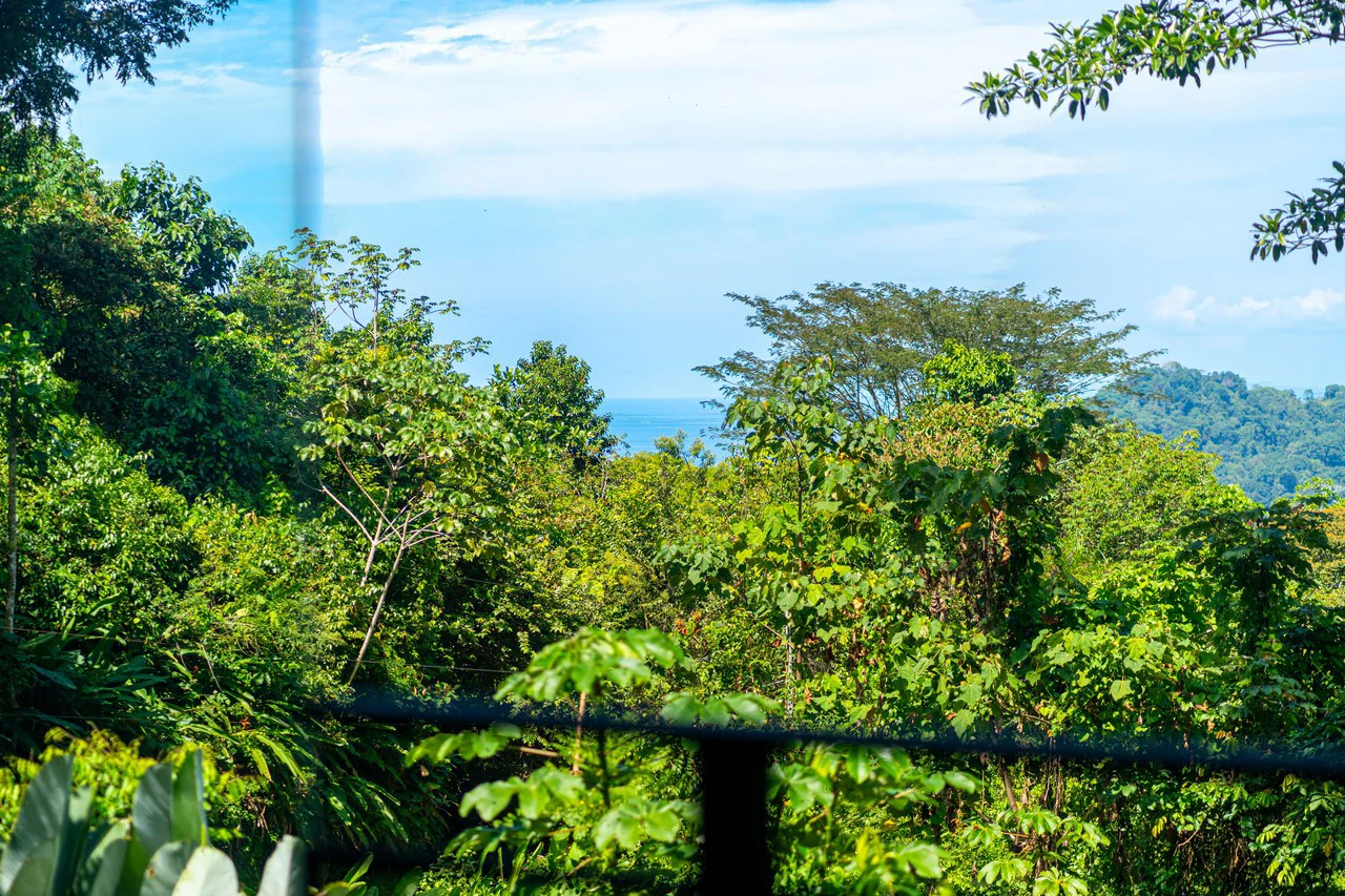 Escaleras Modern Elegance with Ocean Window Views and Jungle Tranquility, Dominical Costa Rica - Gallery image 74