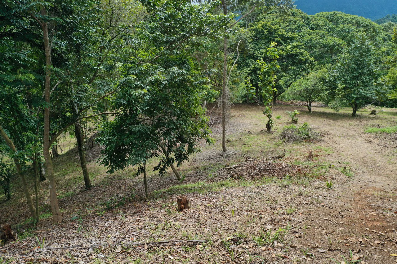 Diamante Waterfall View Land in Dominical 2.9 Acres - Gallery image 5