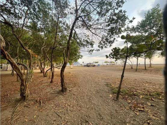 Jaco Luxury Ocean Front Lot - Gallery image 11