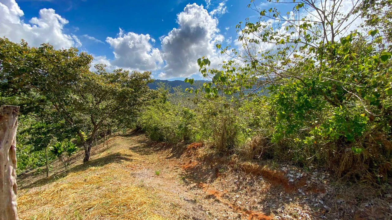 32 Acre Self Sustainable Farm with House Close Ojochal - Gallery image 58