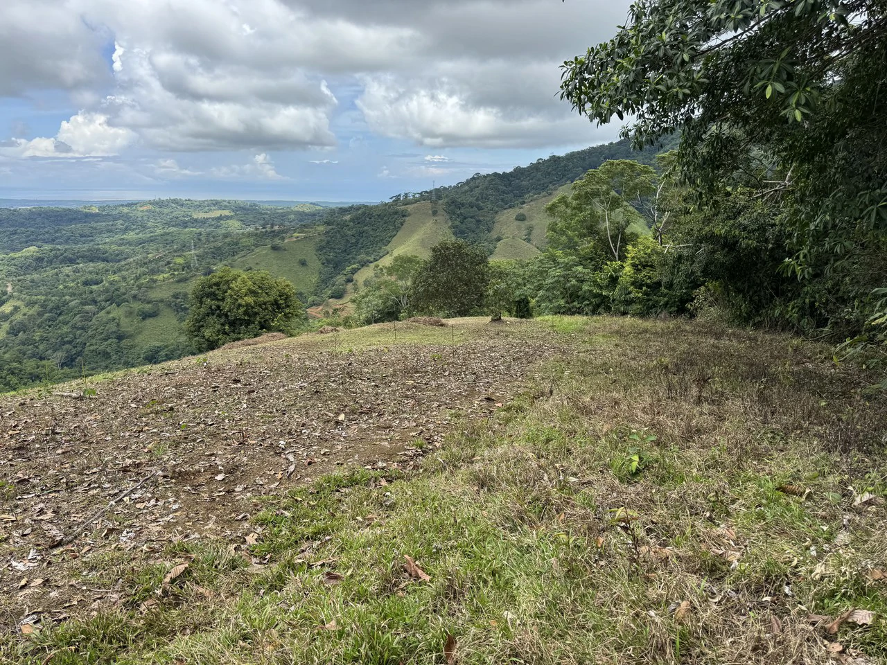 137 Acre Ocean View Farm with Riverfront in Southern Costa Rica