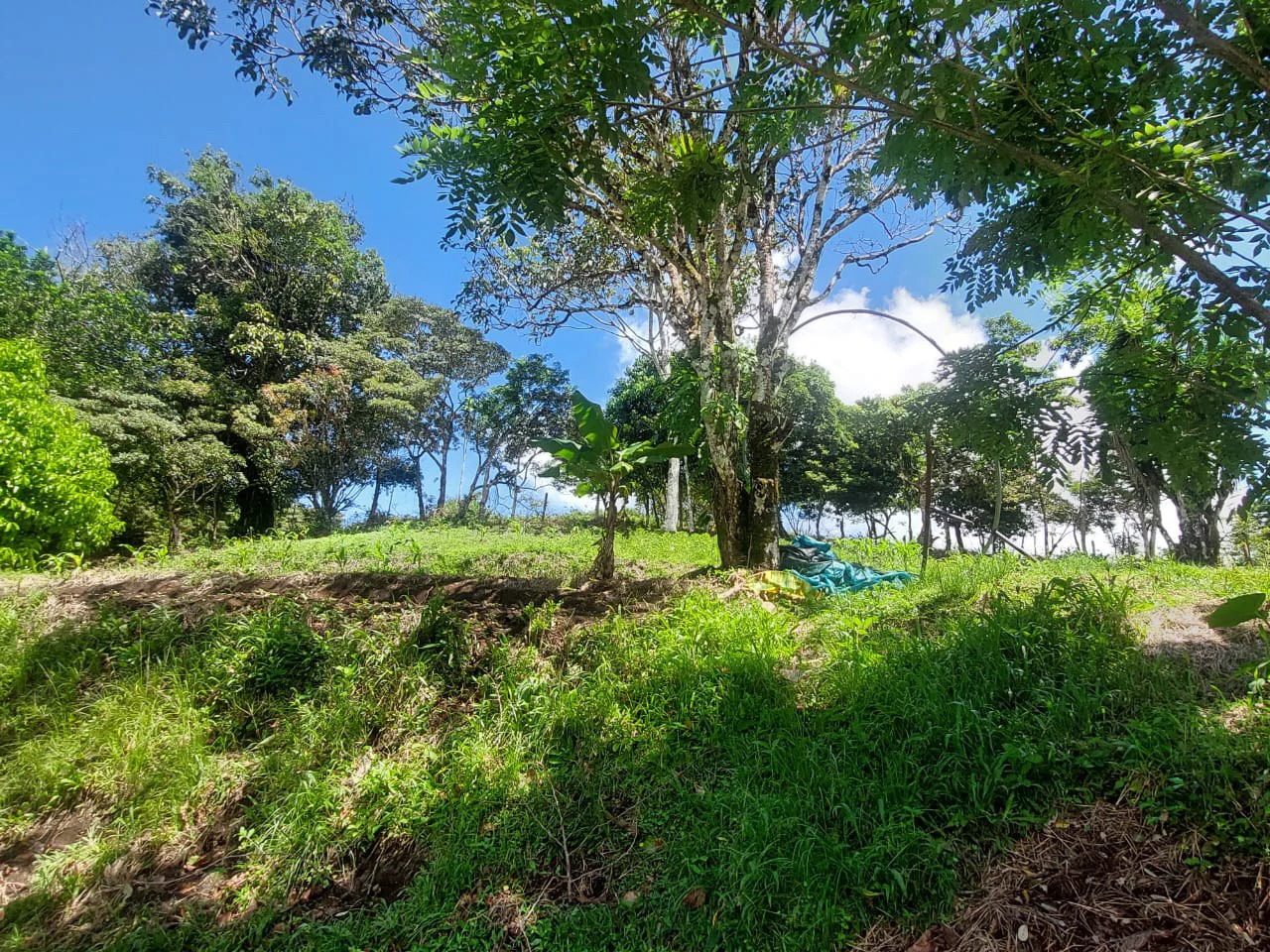 FINCA LA TEJONA - Gallery image 23