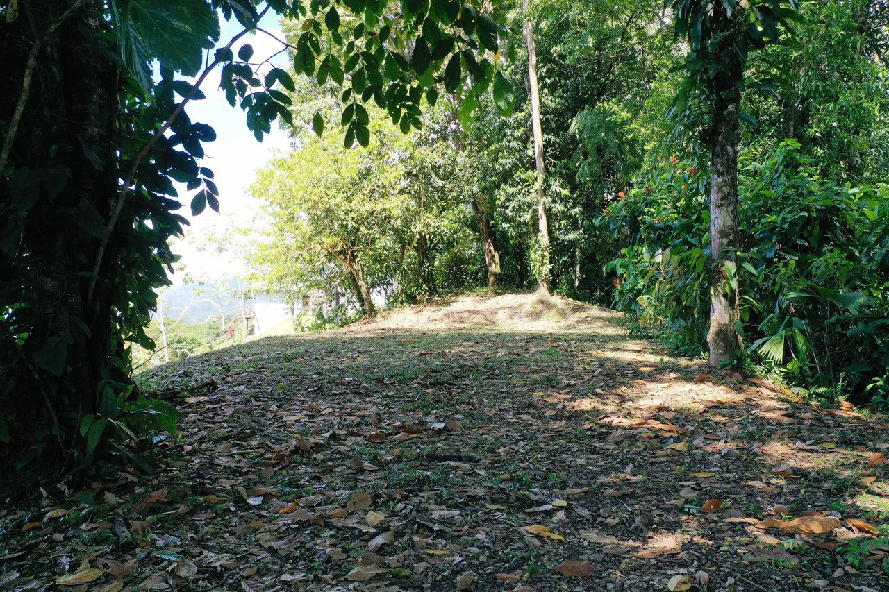 1.6 Acre Ocean View Home site in Uvita the Best Views in Town - Gallery image 6