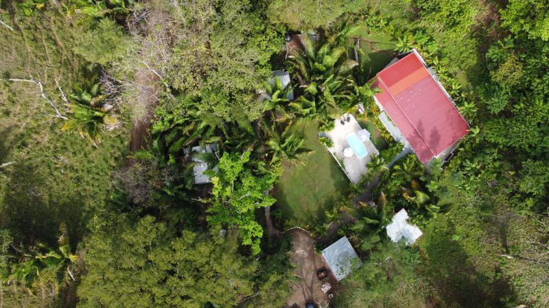 Entre Palmas Retreat: Near the Coast House For Sale in Playa Samara - Gallery image 2