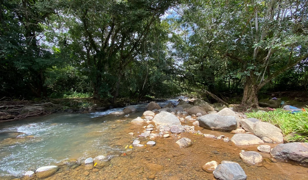1.9 ACRES – Very Usable Flat Land Divided By An Across Running Creek, Tons Of Fruit Trees Plus Woods In The Back!!! - Gallery image 23