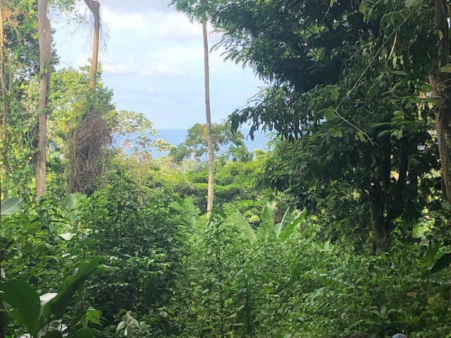 Buildable Lot, Private Paradise Cahuita