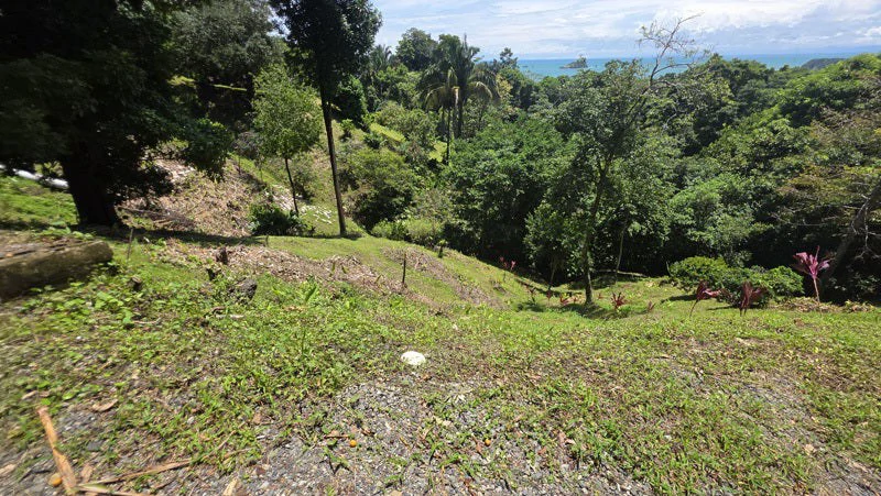 Ocean View Lot in Manuel Antonio Prime Location, Walk to the Beach - Gallery image 6