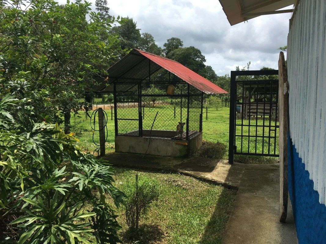farm for sale Horquetas Sarapiquí Heredia Costa Rica - Gallery image 4