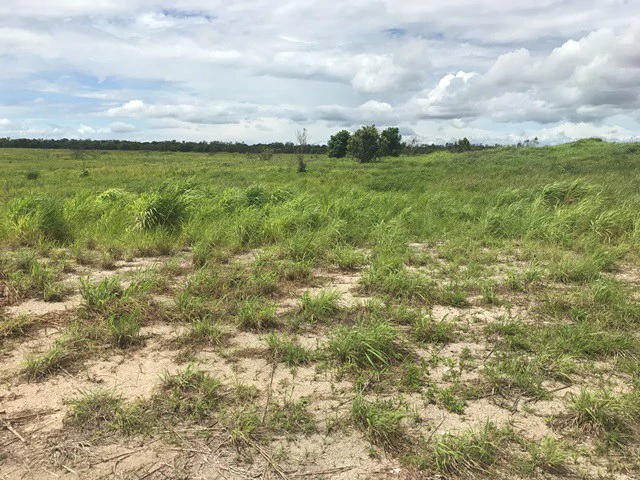 Large Development Land for Sale in Liberia, Guanacaste, Costa Rica - Gallery image 43