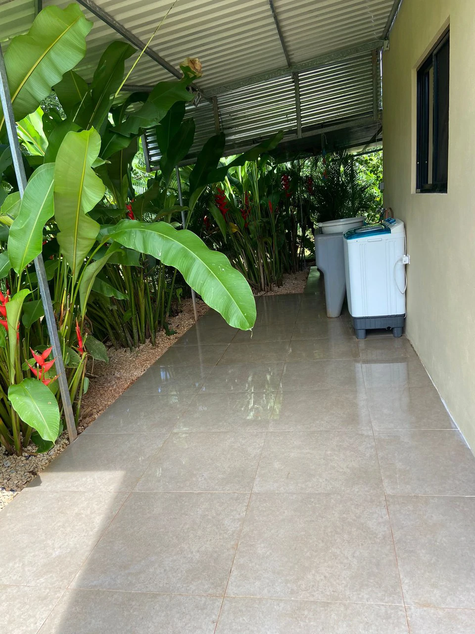 Casa Helene: Two bedroom house near Carrillo - photo 5
