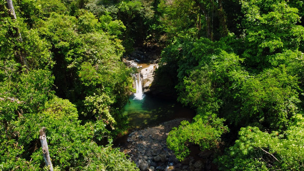 FINCA CERRO DEL TIGRE! OVER 20 ACRES OF PRIMARY FOREST AND WATERFALLS.: Mountain Agricultural Land For Sale in La Unión - Gallery image 20