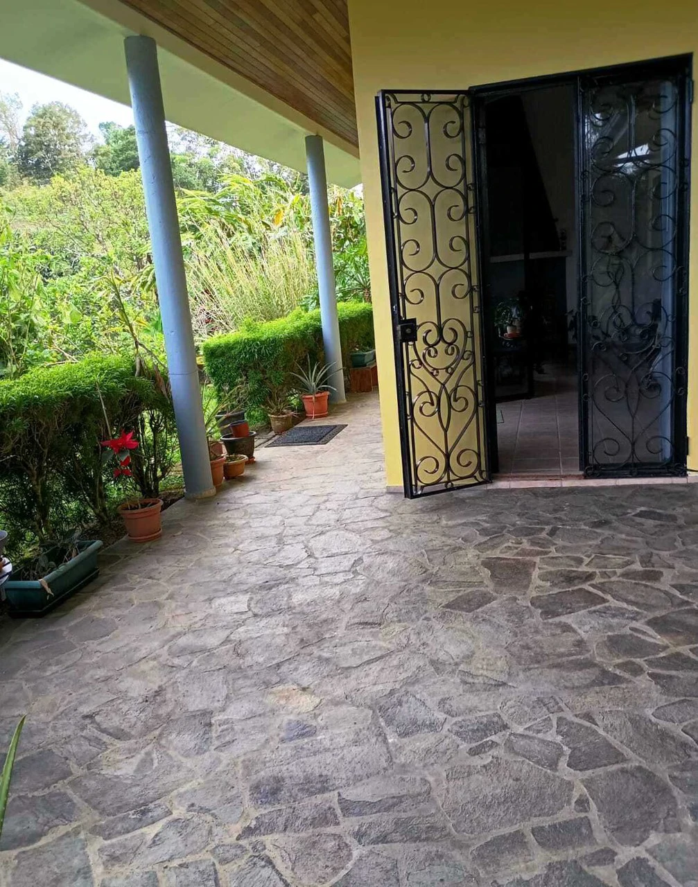 CASA  TROPICANA - Lake View Oasis Near Nuevo Arenal - Gallery image 38