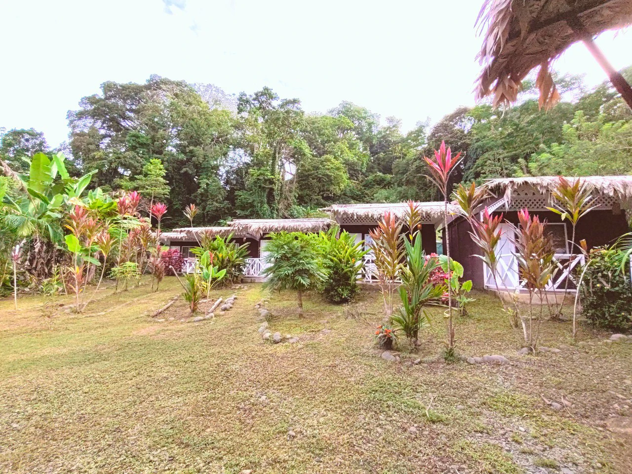 ID: Cahuita Multi Unit Rental Property - 5 Studios, 650m to the Beach - photo 7