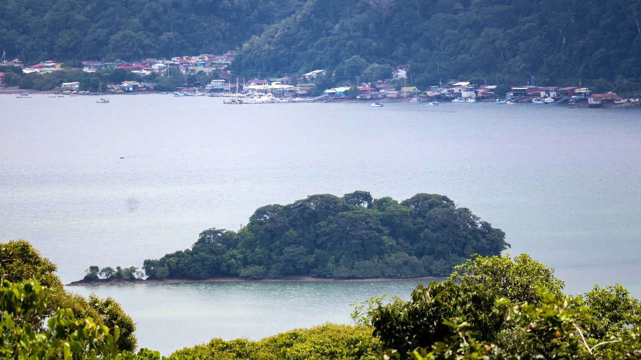Unique Development Property Overlooking the Pristine Golfito Bay and Golfo Dulce - Gallery image 39