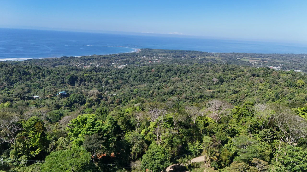 Front-Row Ocean View Lot in the Exclusive Mountains of La Unión - Gallery image 7