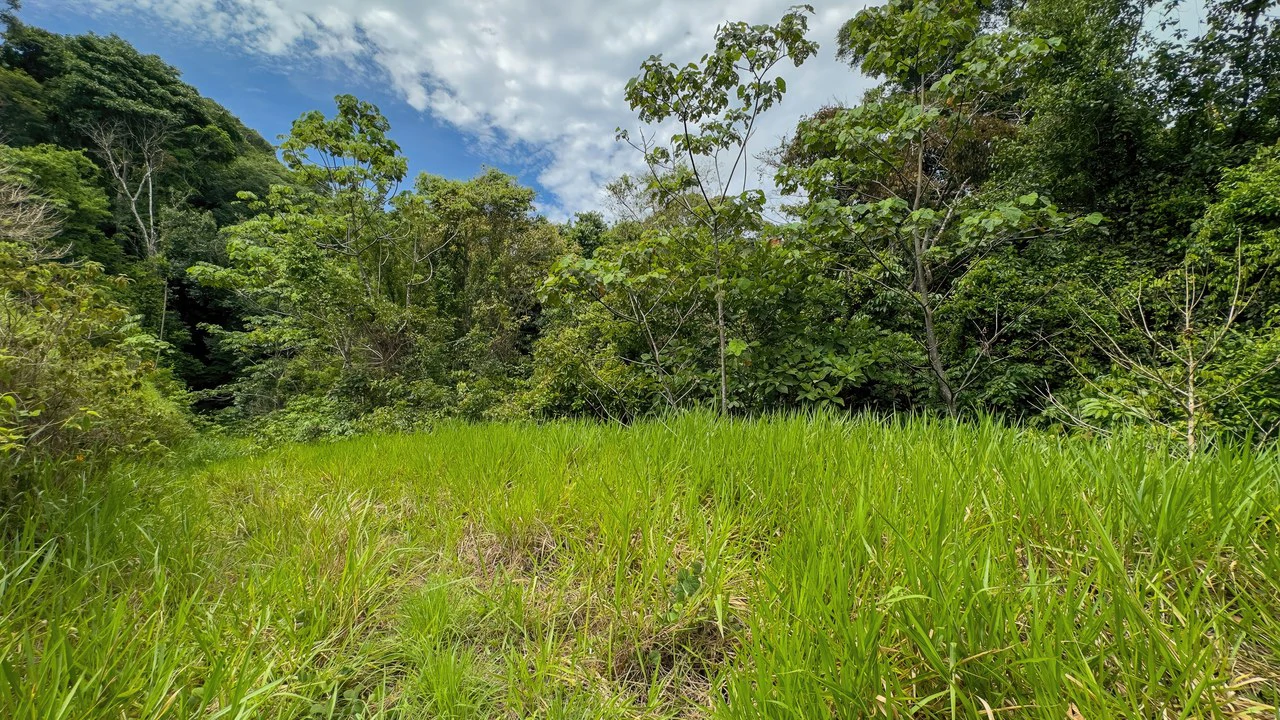60+ Hectares in Platanillo | Own Your Own Mountain in Costa Rica - Gallery image 41